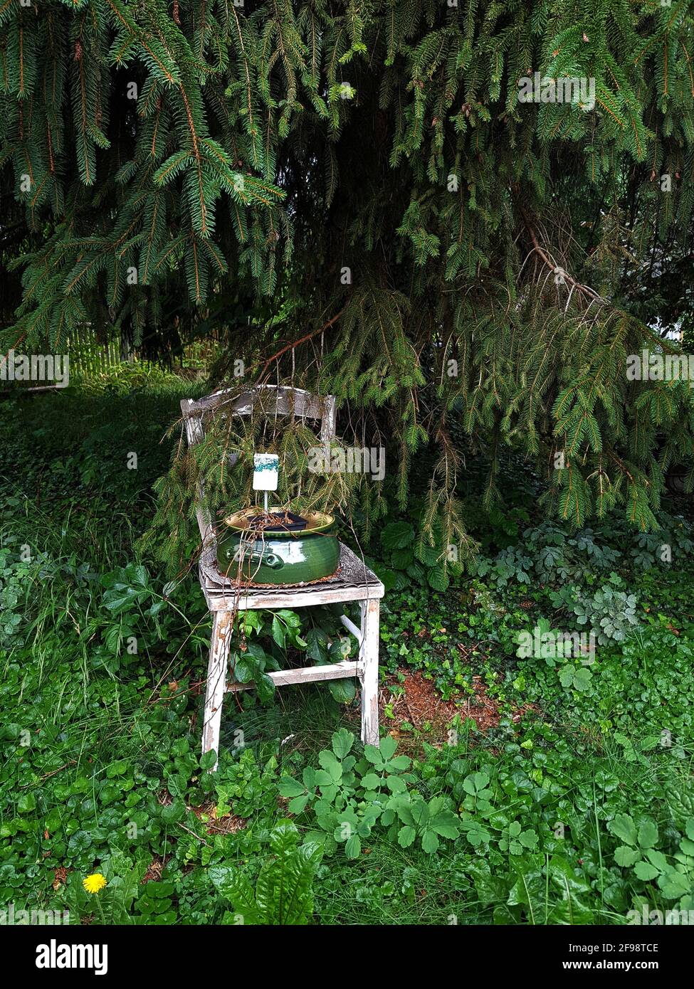 Alter weißer Stuhl im Garten Stockfoto