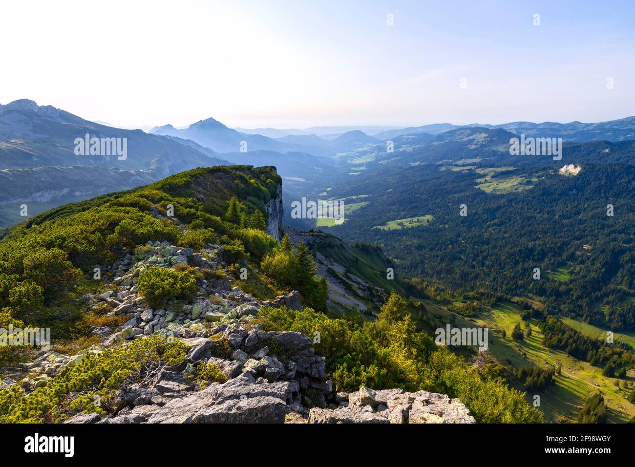 Alpine Berglandschaft im Naturschutzgebiet hoher Ifen an einem sonnigen Sommertag. Blick auf den Bregenzerwald mit Winterstrauch. Allgäuer Alpen, Bayern, Deutschland, Vorarlberg, Österreich Stockfoto