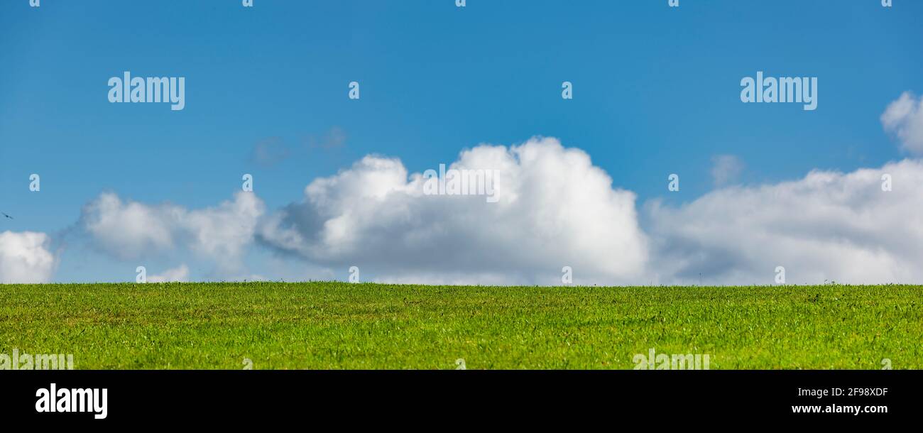 Weiße Wolken am blauen Himmel über grüner Wiese Stockfoto