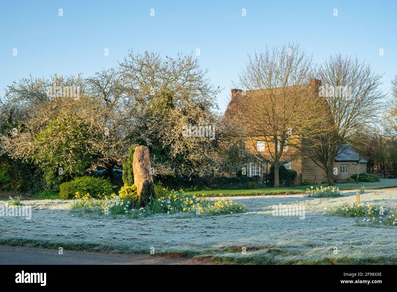 Frühlingsblumen und Frost in der frühen Morgensonne. Wroxton, Oxfordshire, England Stockfoto