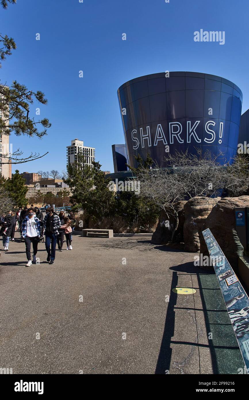 New York Aquarium in Coney Island, Brooklyn, New York City Stockfoto