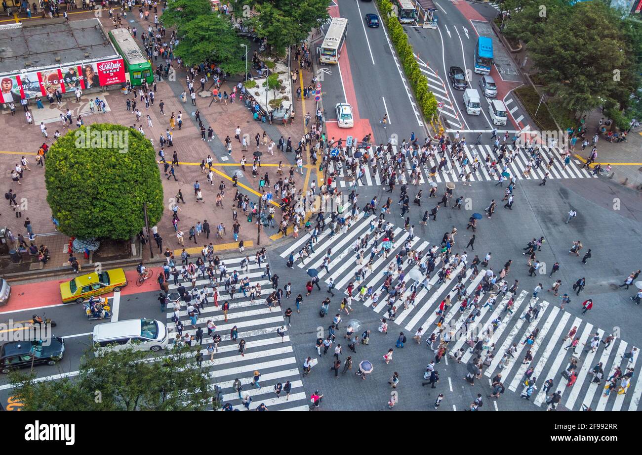 Berühmte Shibuya Crossing in Tokio - Luftbild - Tokyo/Japan - Juni 12, 2018 Stockfoto