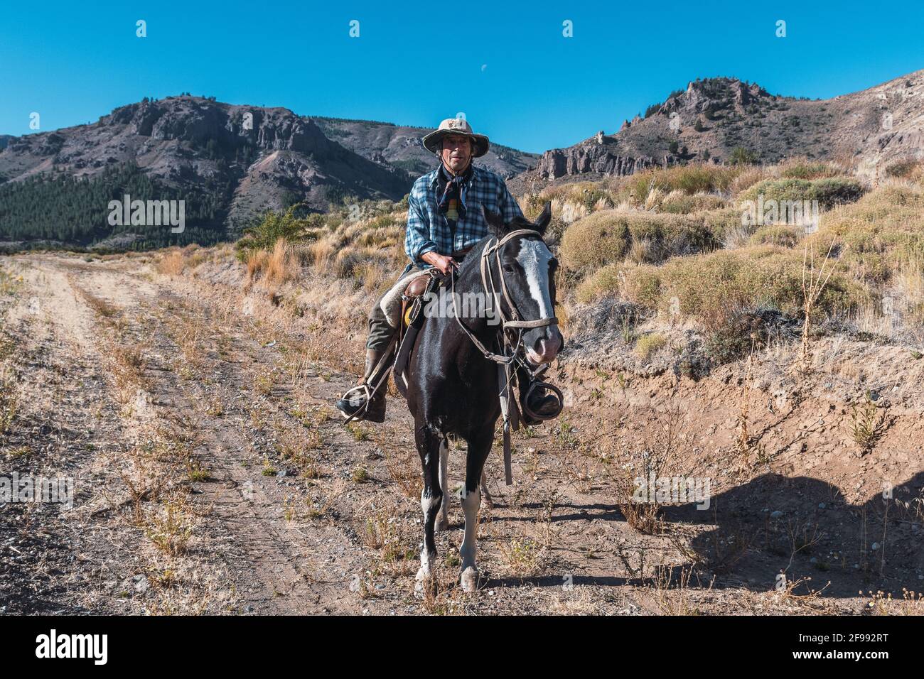 Argentinischer Cowboy auf einem schwarzen Pferd, der bei Tageslicht in Patagonien reitet Stockfoto