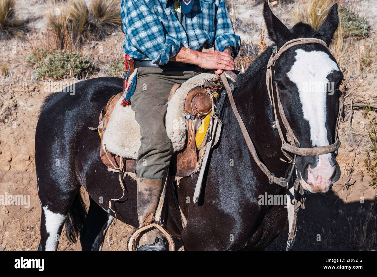 Nahaufnahme eines argentinischen Cowboys auf einem schwarzen Pferd, der bei Tageslicht in Patagonien reitet Stockfoto