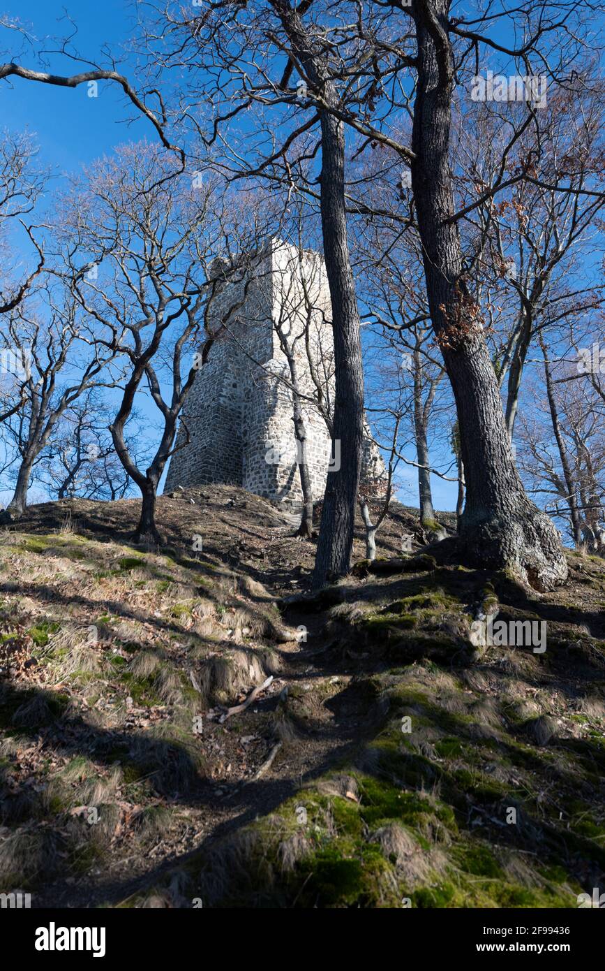 Deutschland, Sachsen-Anhalt, Stecklenberg, außenbailey der Ruine Lauenburg, Hügelburg aus dem Hochmittelalter im Harz. Stockfoto