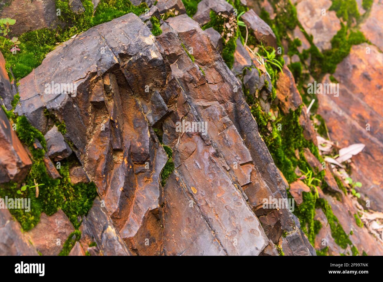 Schichten aus foliiertem, homogenen metamorphischen Gestein, die aus Sedimentgestein stammen und sich aus tektonischen Prozessen als kontinentale Kollisionen bilden, die sich ausbilden Stockfoto