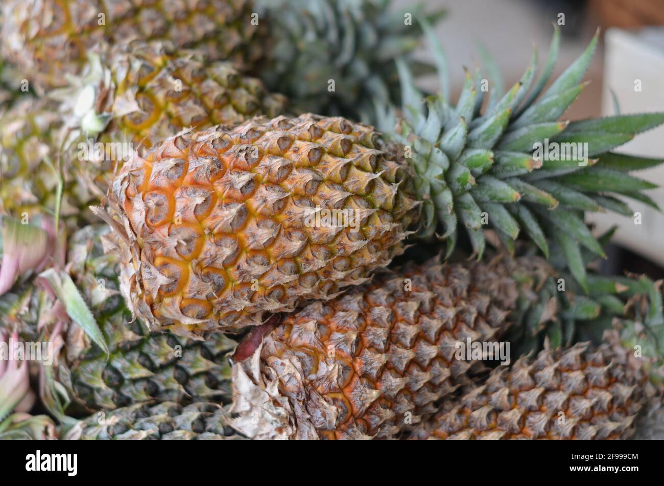 Reife Ananas, die zum Verkauf gestellt wird. Stockfoto