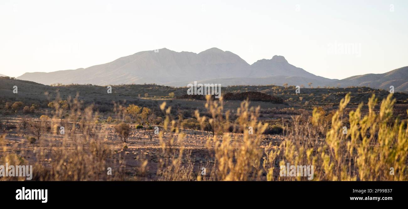 Mt Sonder / Rwetyepme (1380 m), Tjoritja / West MacDonnell National Park, Northern Territory Stockfoto