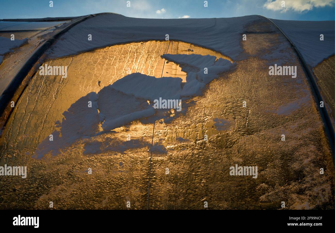 Schnee auf Gewächshaus, Abendstimmung, Marktgartenarbeit, Stuttgart, Baden-Württemberg, Deutschland Stockfoto