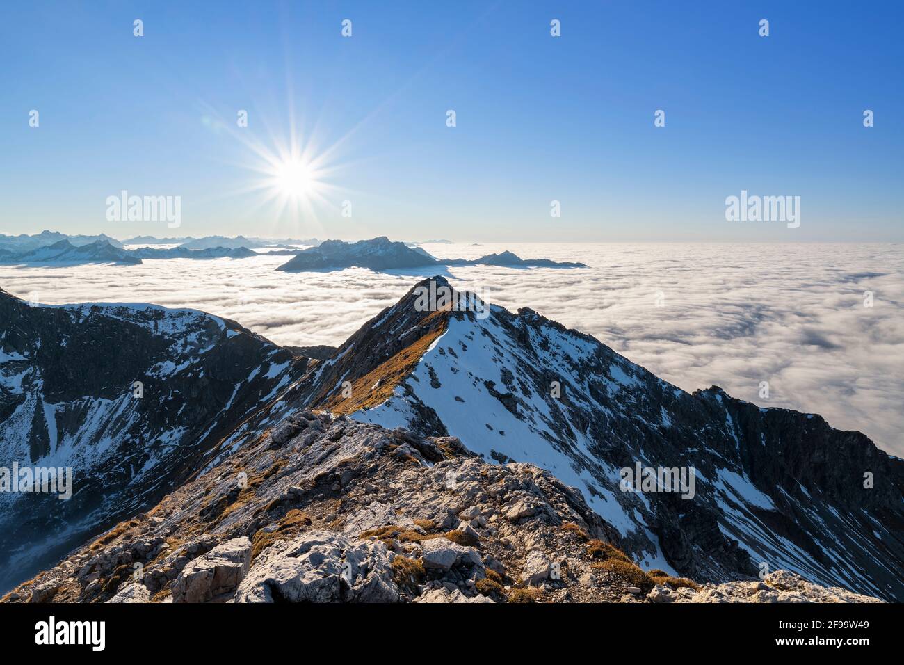 Blick vom Gaishorn auf die alpine Berglandschaft über die Wolkendecke an einem sonnigen Spätnachmittag im Herbst. Allgäuer Alpen, Bayern, Tirol, Deutschland, Österreich, Europa Stockfoto