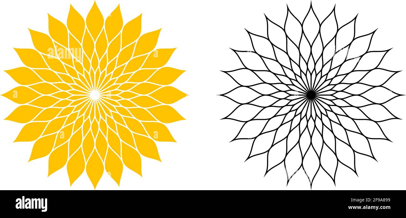 Sonnenstrahl Oder Sonnenblumenvektor Symbol In Rose Oder Sonnenblumendesign Vollfarbe Und Kontur Weisser Isolierter Hintergrund Stock Vektorgrafik Alamy