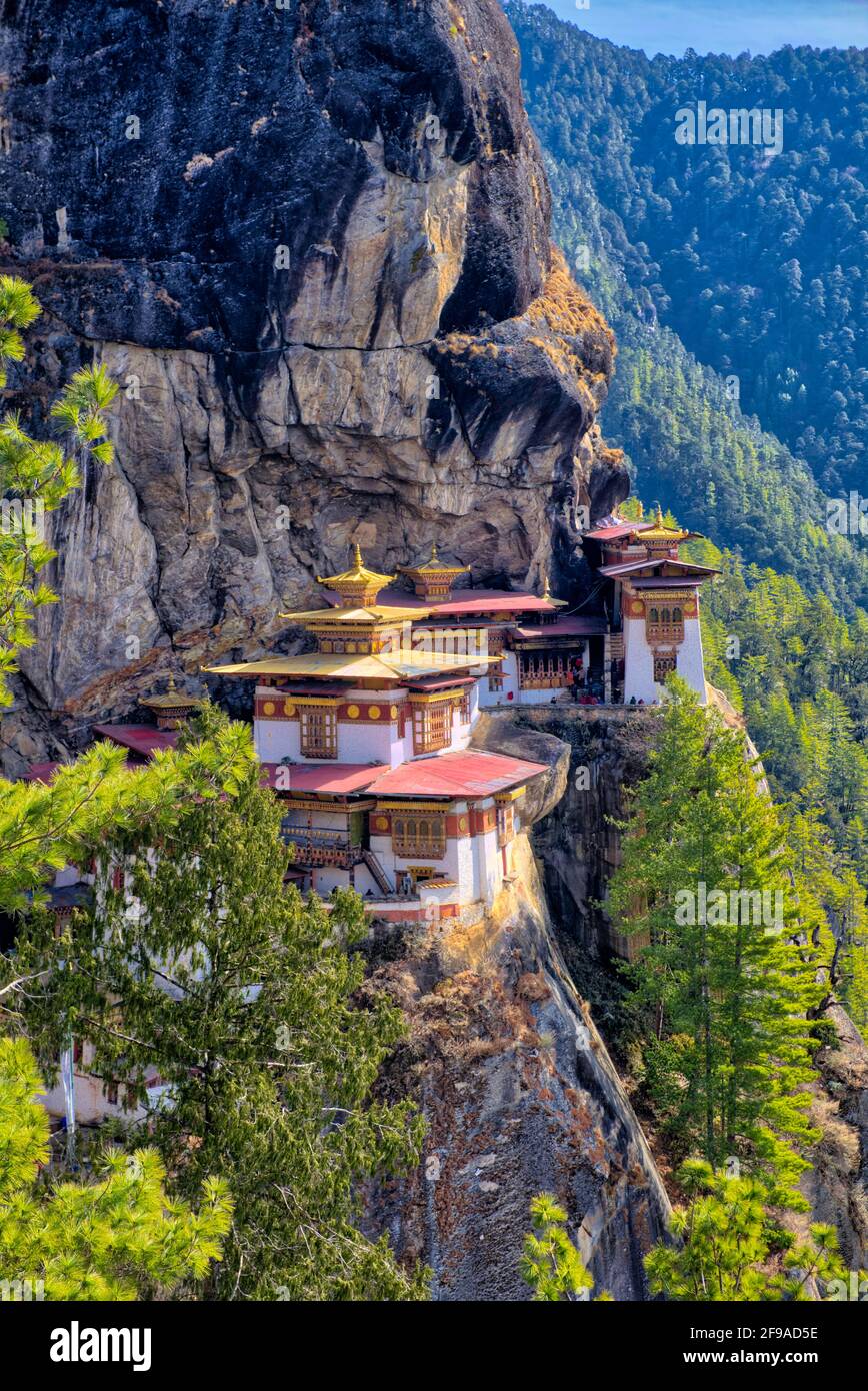 Das Taktsang-Kloster, bekannt als Tiger-Nest-Kloster, befindet sich in Paro, Bhutan. Das Kloster ist einer der am meisten verehrten Wallfahrtsorte Stockfoto