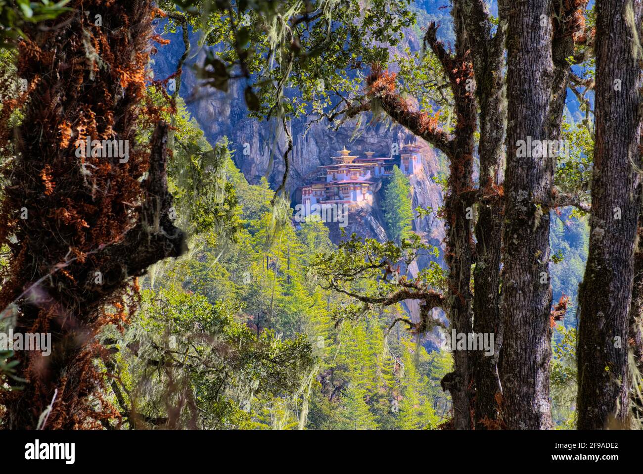 Taktshang klammert sich an den Felsen, der 800 Meter (über 2,600 Fuß) über dem Tal ragt und sich 2,950 Meter (9,678 Fuß) über dem Meeresspiegel befindet. It Stockfoto