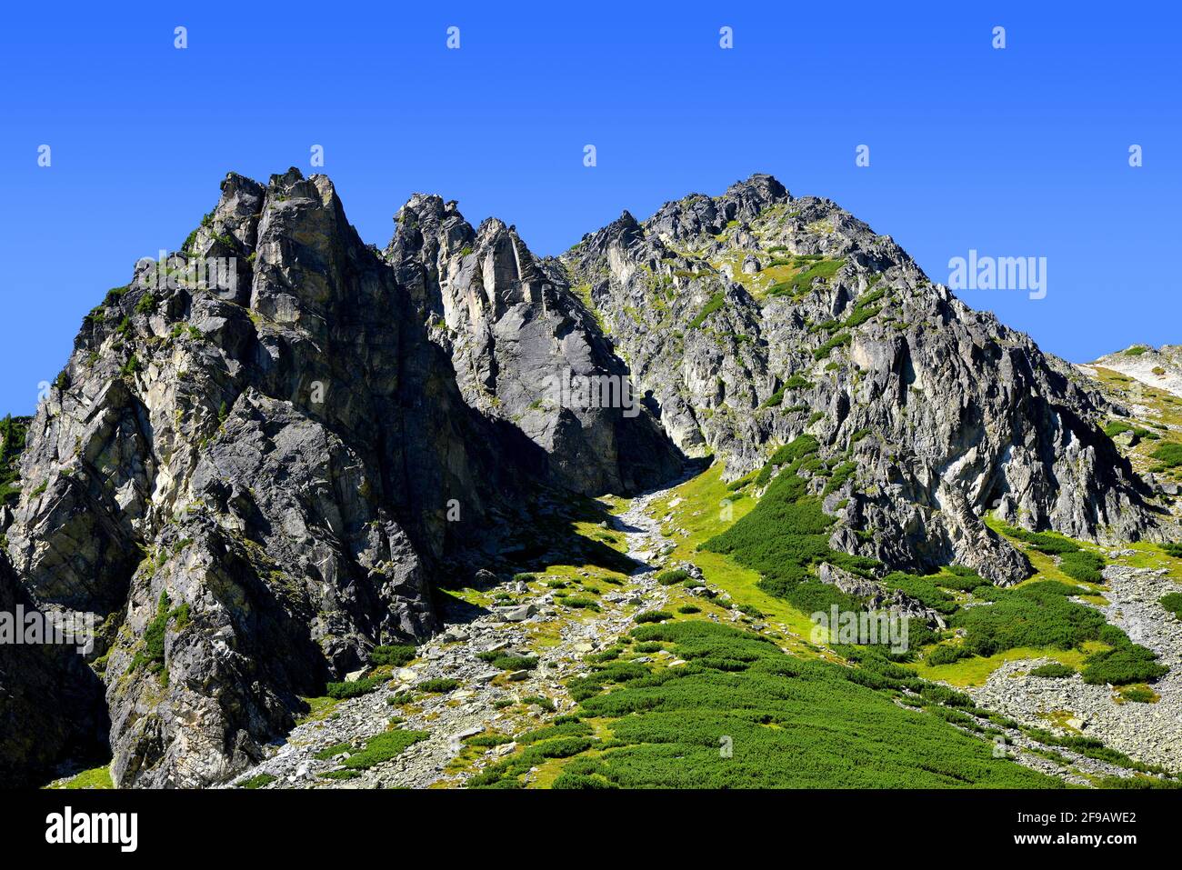 Berglandschaft in den Westkarpaten. Mlynicka Tal in Vysoke Tatry (hohe Tatra), Slowakei. Stockfoto