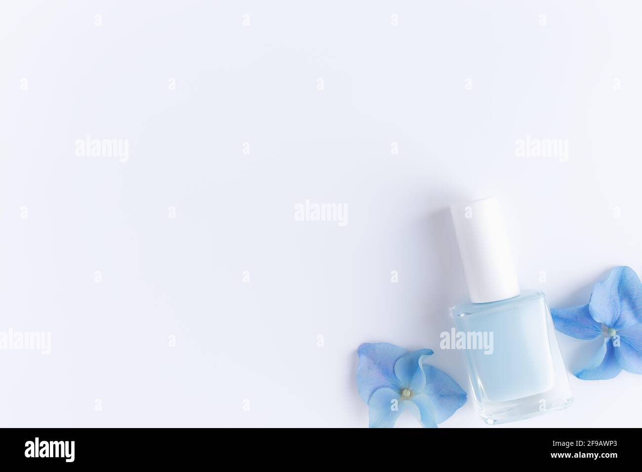 Blaue Blütenblätter mit Nagellack in transparenter Glasflasche, weißer Hintergrund Stockfoto