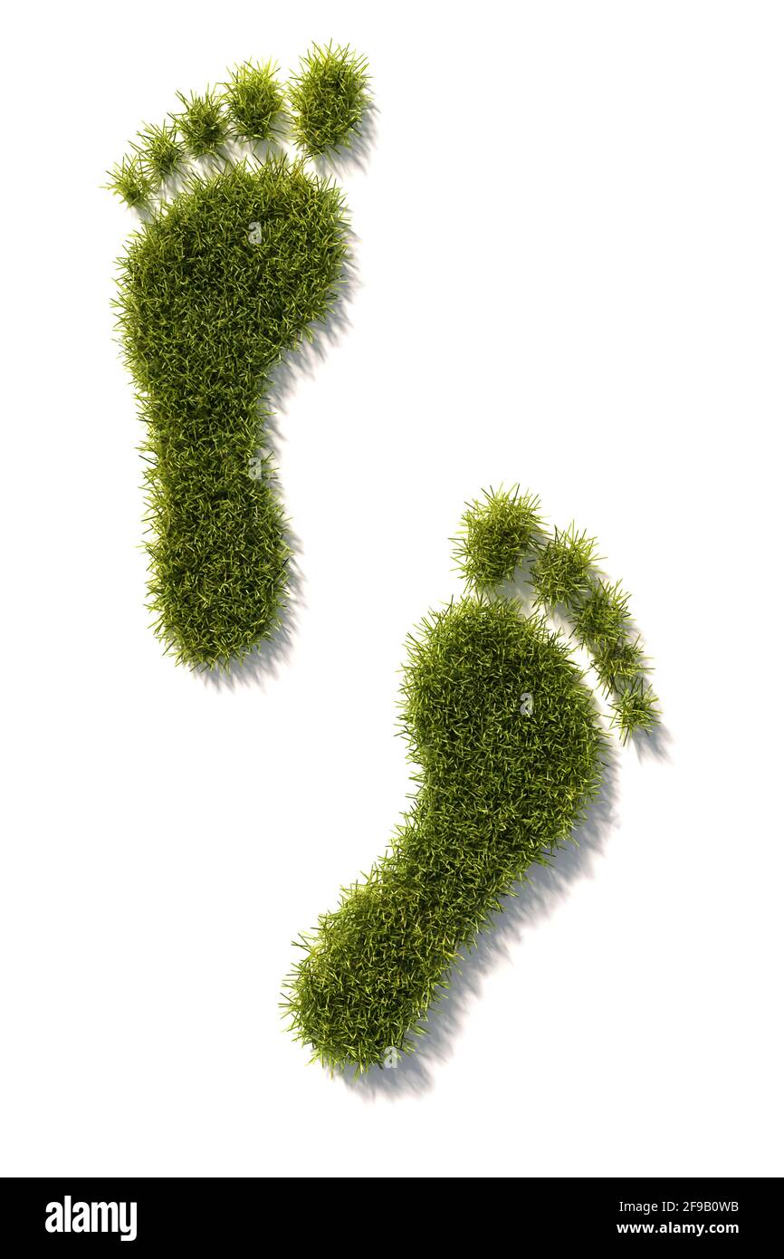 Fußabdrücke als Grasflecken. CO2-Fußabdruck-Konzept. Erhaltung der Natur. High-Angle-Ansicht – isoliert auf Weiß Stockfoto