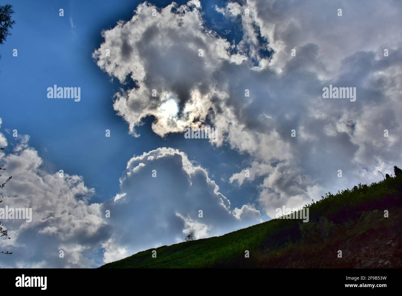 Schönes Wolkenmuster mit blauem Himmel im Temi Tea Estate eingebettet in Ravangla, Sikkim Stockfoto