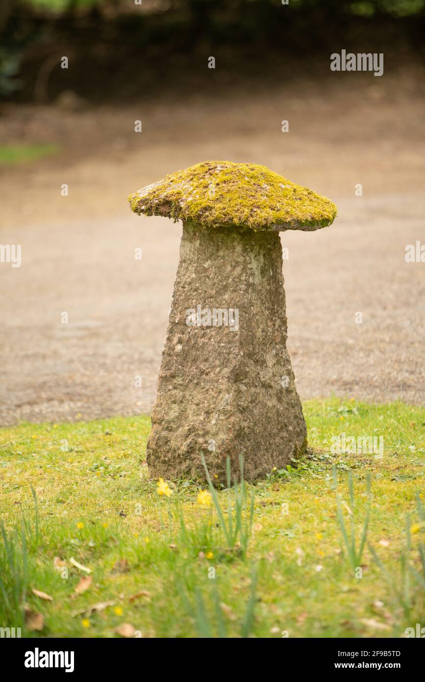 Moos Covered Saddle Stone, Gloucestershire, Großbritannien Stockfoto