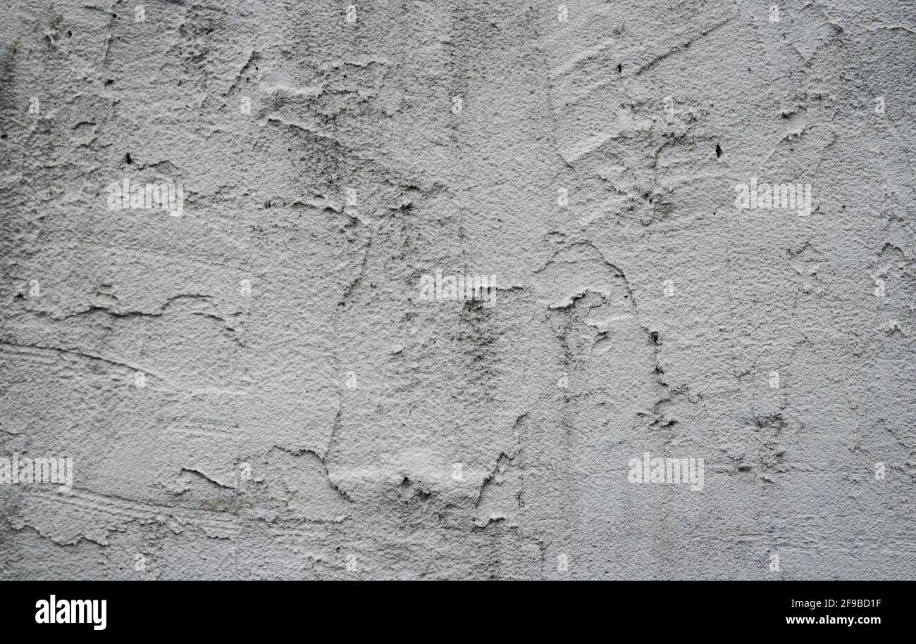 Das detailreiche Fragment der neuen Zementwand mit dem Gips. Grauer Hintergrund, Textur. Stockfoto