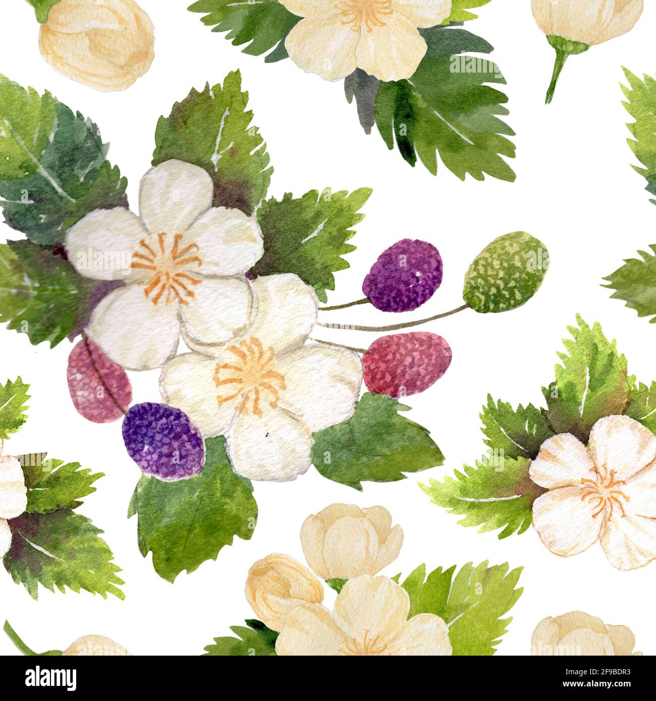 Nahtloses Muster aus weißen Blüten mit Blatt und Beere auf weißem Hintergrund. Aquarell Handmalerei. Stockfoto