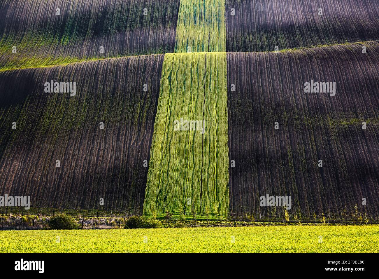 Waley ist interessant erleuchtet durch die Strahlen, Spiel von Licht und Schatten auf dem Feld mit Landwirtschaft grünen Gras. Südmährische Region Tschechische Republik. Stockfoto