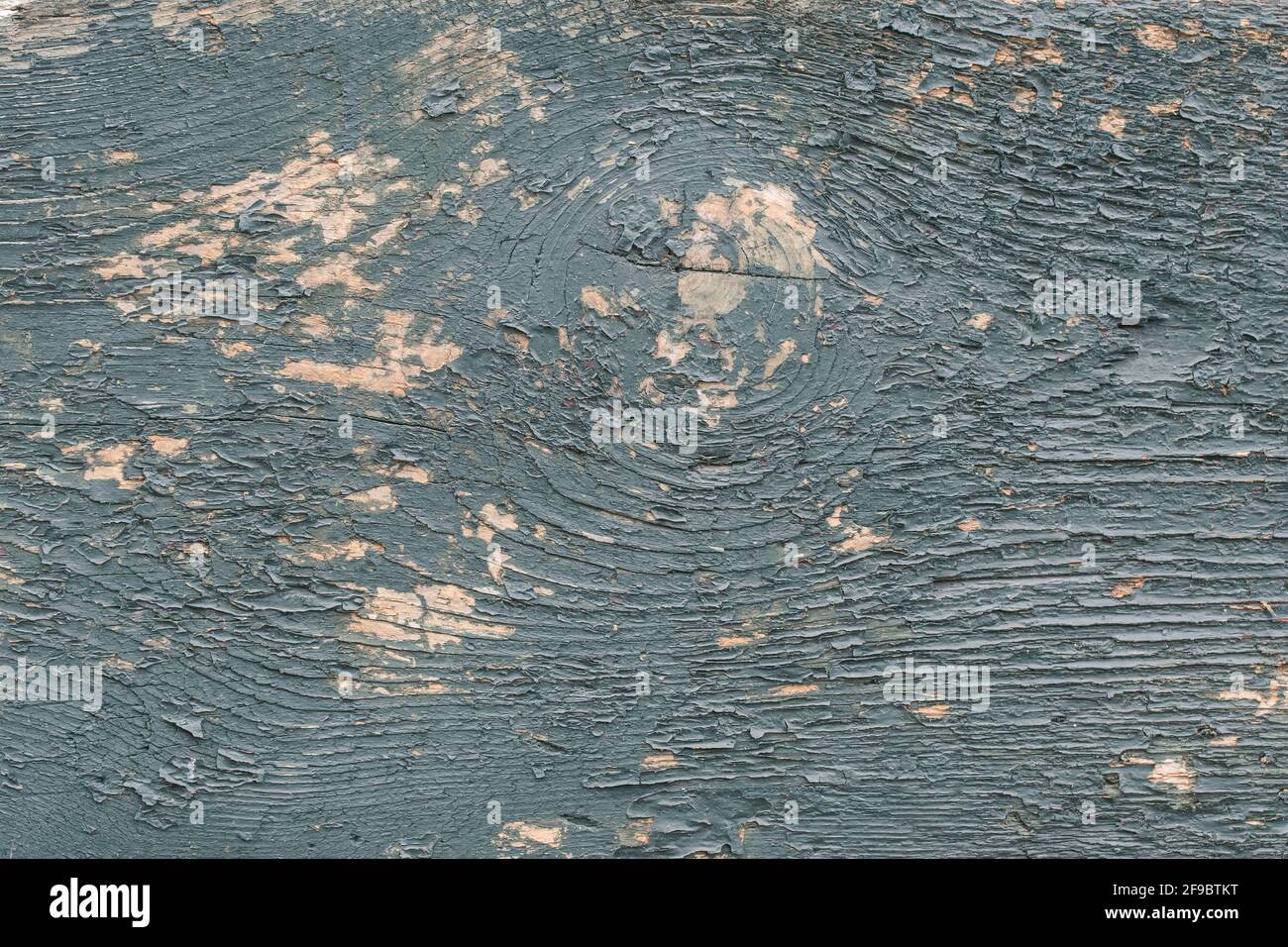 Graue und blaue Holzplatte, abblätternde Farbe auf einer Holzmaserung. Bemalter alter Boden, grunge Hintergrund, rissige Oberfläche, schuppiges Muster, Vintage-Holz-Textur Stockfoto
