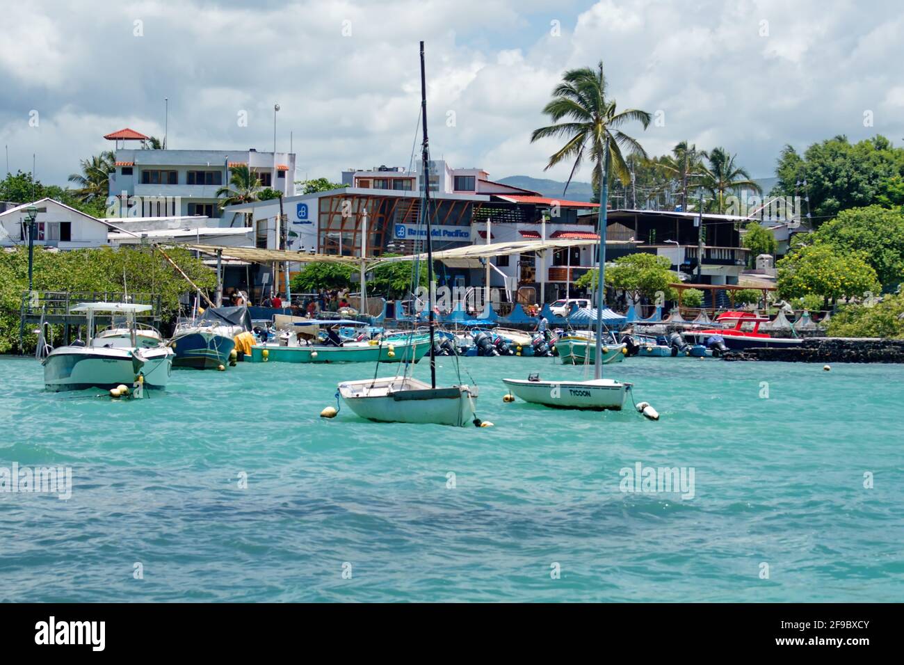 Segel- und Fischerboote liegen auf dem Fischmarkt in Puerto Lopez, Insel Santa Cruz, Galapagos, Ecuador Stockfoto