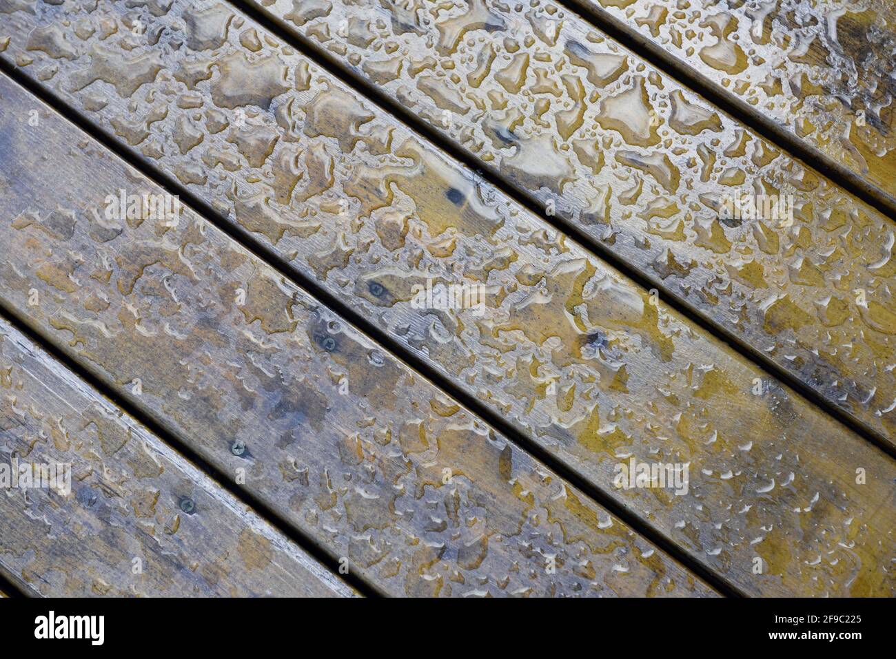 Wasser Sicken auf geölten Holzdeckenplatten Stockfoto