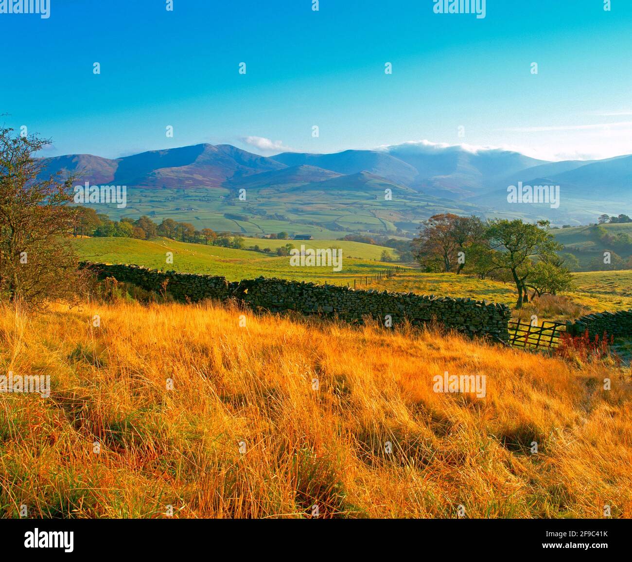 Großbritannien, England, Cumbria, Brent Fell, Herbstmorgen Stockfoto