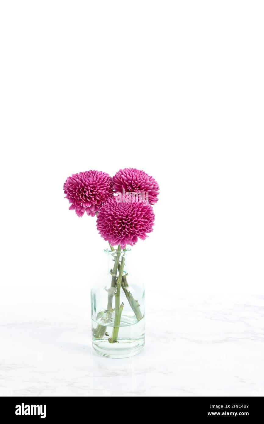 Kleiner Blumenstrauß in Glasvase auf hellem Weiß Hintergrund Stockfoto