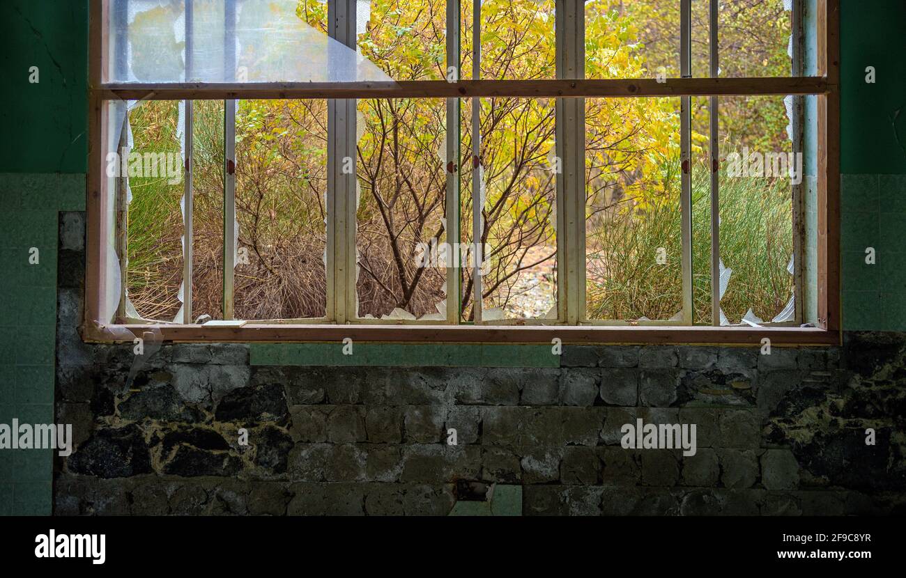 Überwucherter Garten im Herbst, Blick durch das Fenster eines verlassenen Hauses. Zerbrochenes Glas, Fliesen und abblätternde Farbe an der Wand Stockfoto