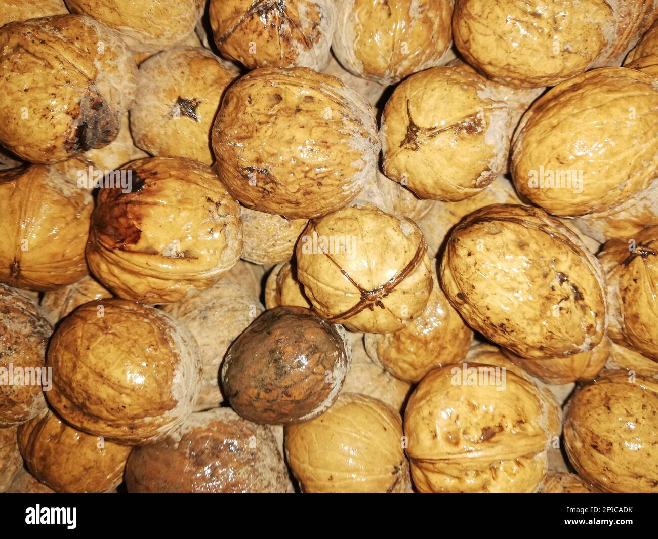 Walnusskern auf natürlichem Walnusshintergrund, Stockfoto