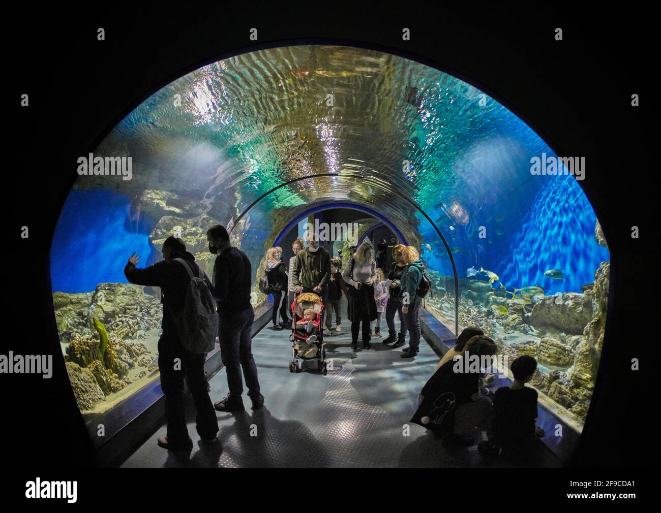 Im Moskvarium, dem größten Ozeanarium in Moskau, Russland, wandern die Menschen durch einen Aquarientunnel. Stockfoto