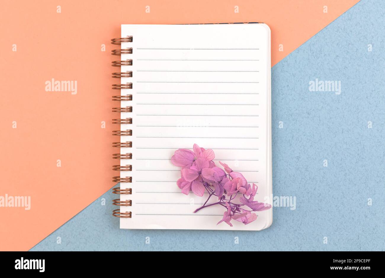 Elegantes Notizbuch-Modell, weißes Blankopapier mit getrockneten Blumen und Kopierer, Foto von oben, Konzept des Femenine-Arbeitsplatzes Stockfoto