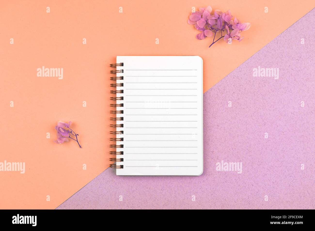 Femenine-Arbeitsplatzkonzept mit leerem weißen Notizbuch, Modell mit bunten getrockneten Blumen auf dem Schreibtisch, Draufsicht und flachem Lay-Foto Stockfoto