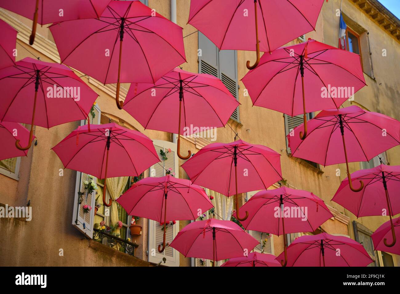 Aufgehängte rosa Regenschirme im historischen Zentrum von Grasse,  anlässlich der Rose Expo in Provence-Alpes-Côte d'Azur, Frankreich  Stockfotografie - Alamy