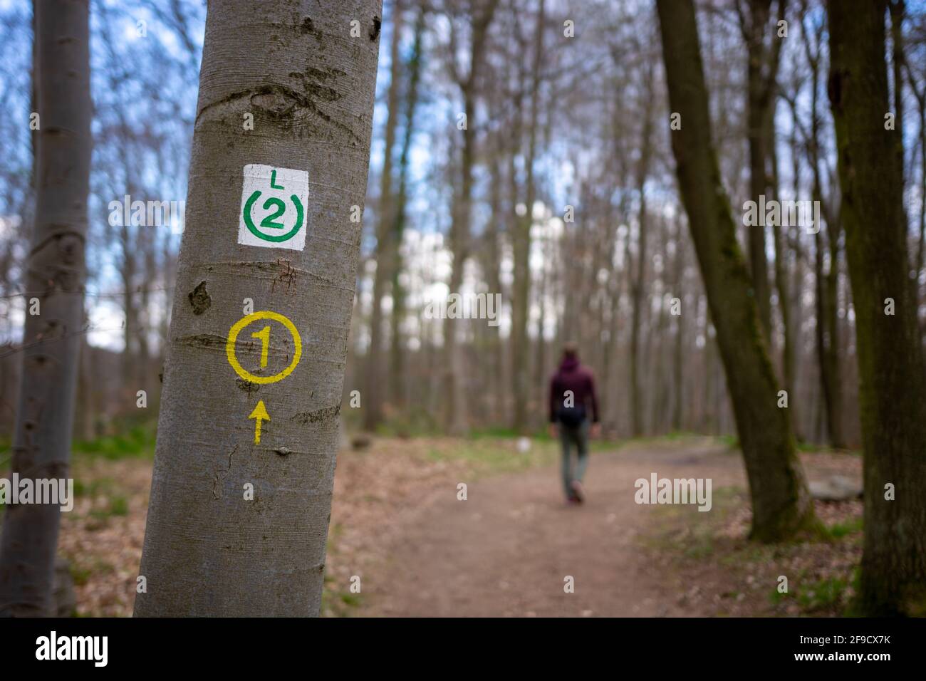 Wanderwegenschild mit verschwommener Person im Hintergrund, die den Weg durch den deutschen Wald in der Region Bergstraße hessen wandert. Bild bei da Stockfoto