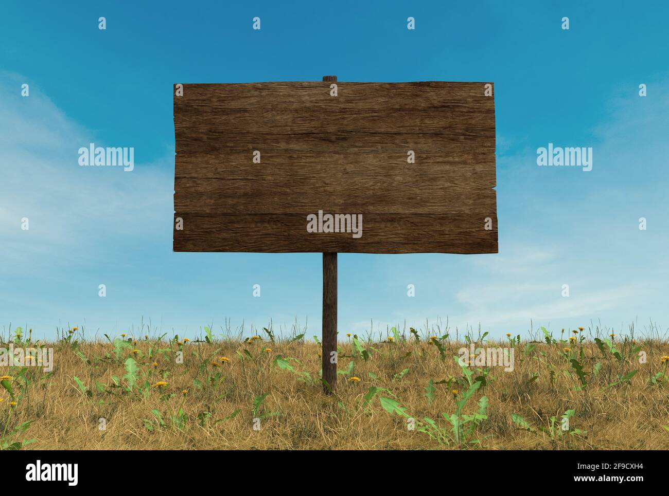 Altes Holzschild auf trockener Graswiese und blauer Sommer 3D-Rendering mit Himmelshintergrund Stockfoto