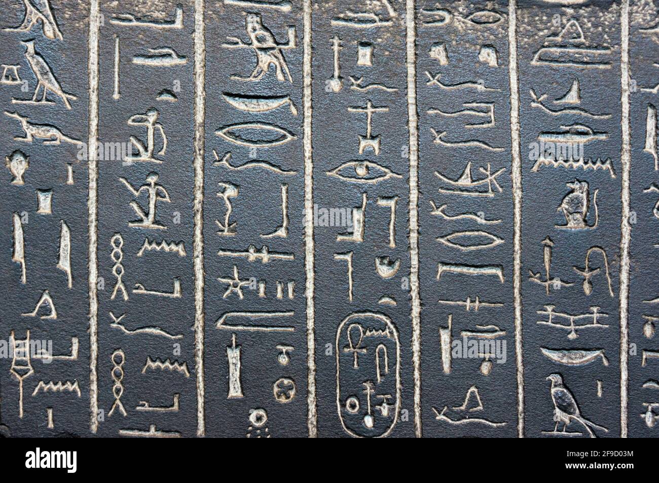 Ägyptische Hieroglyphen, die auf dem schwarzen Schiefer-Sarkophag von Ankhnesneferibre in c530 v. Chr. aus Theben geschnitzt wurden. Stockfoto
