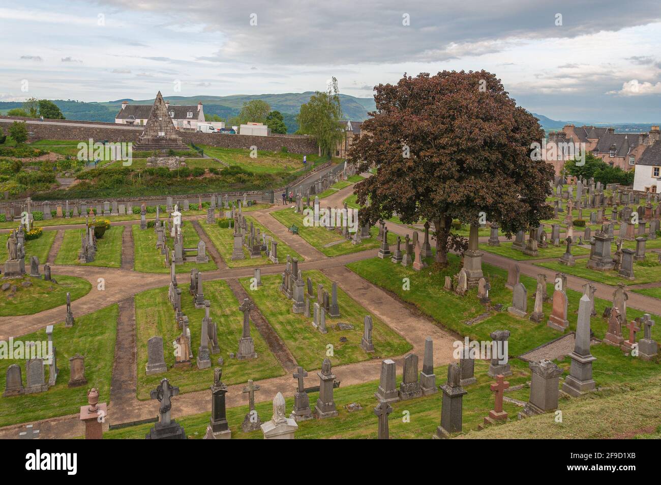 Großer Baum auf dem Holy Rude Cemetery, Stirling, Schottland. Konzept: Schottische religiöse Orte Stockfoto