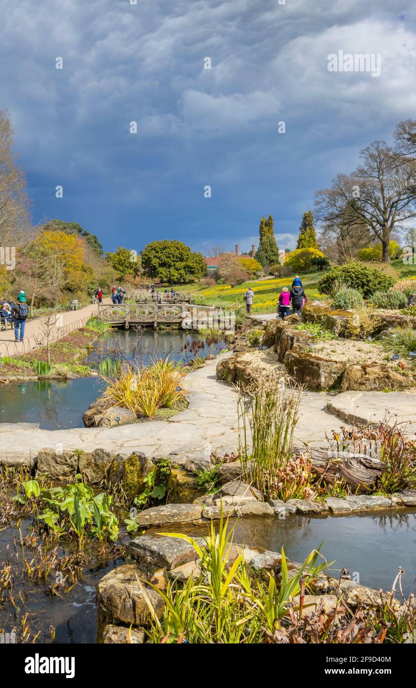 Blick über den Rock Garden im RHS Garden, Wisley, Surrey, Südostengland im Frühjahr mit aufziehenden grauen Wolken und drohendem Regen Stockfoto