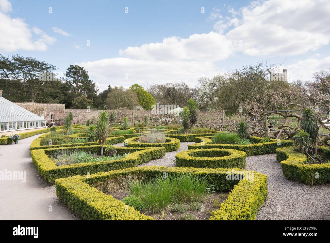 Topiary in den ummauerten Gärten des Fulham Palace, das historische Haus und die Gärten des Bishop of London auf der Bishop's Avenue, Fulham, London Stockfoto