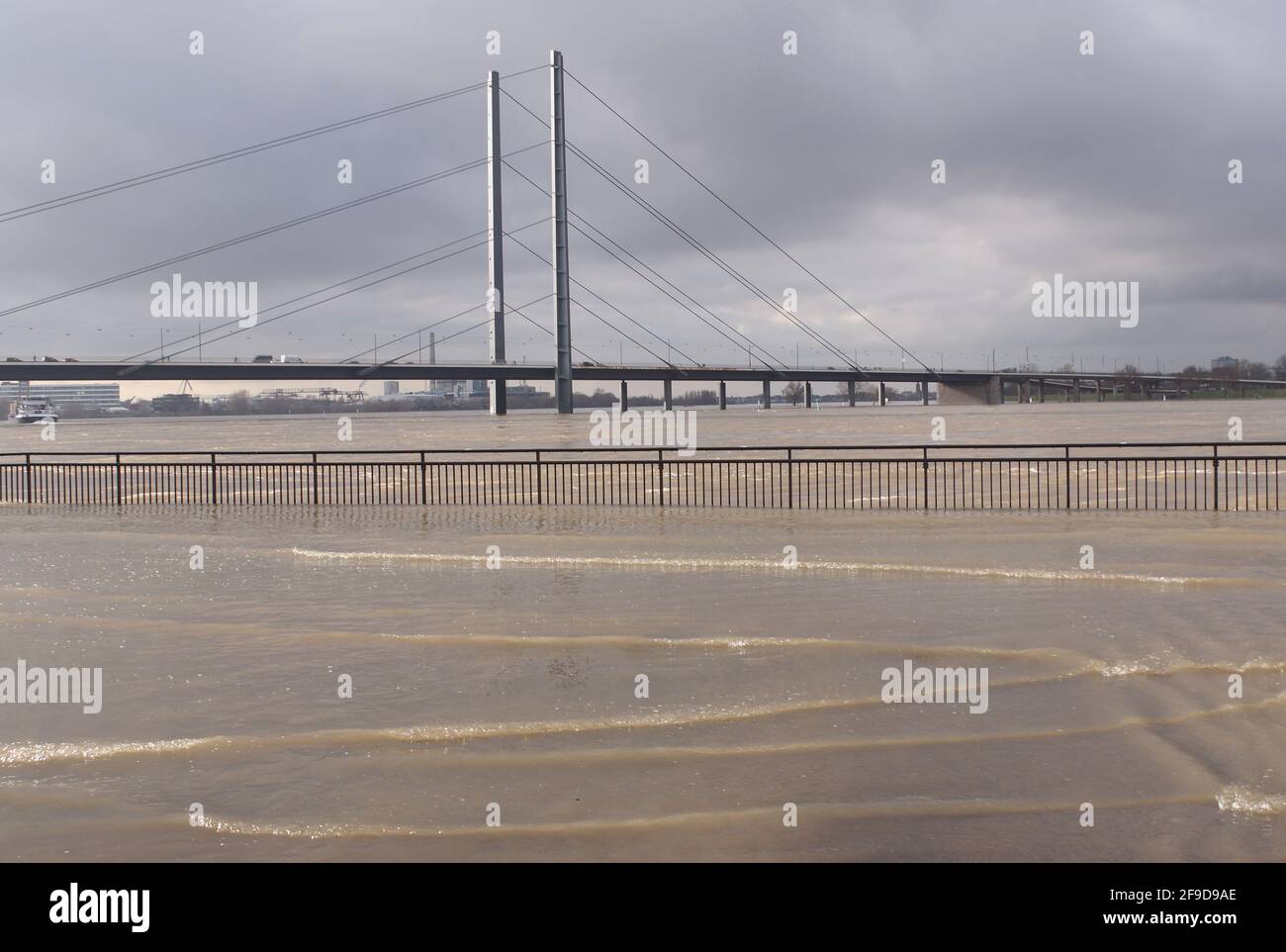 Düsseldorf, Deutschland - 05. Februar 2021 - Winterfluten des Rheins in der Stadt Düsseldorf Stockfoto