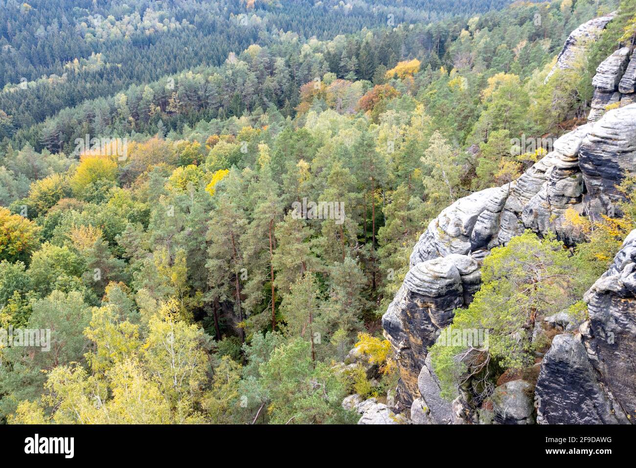Felsen in der Sächsischen Schweiz Stockfoto