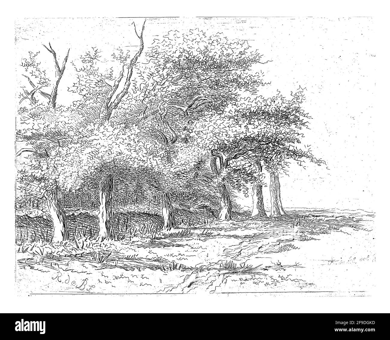 Eine Reihe von Bäumen entlang einer Bank. Stockfoto