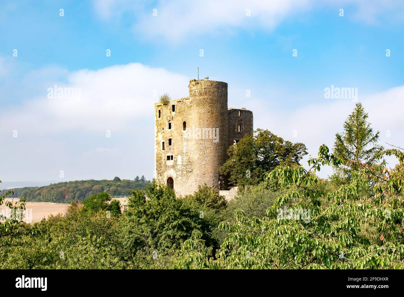 Die Burg Arnstein umgeben von viel Grün unter dem Sonnenlicht in Deutschland Stockfoto