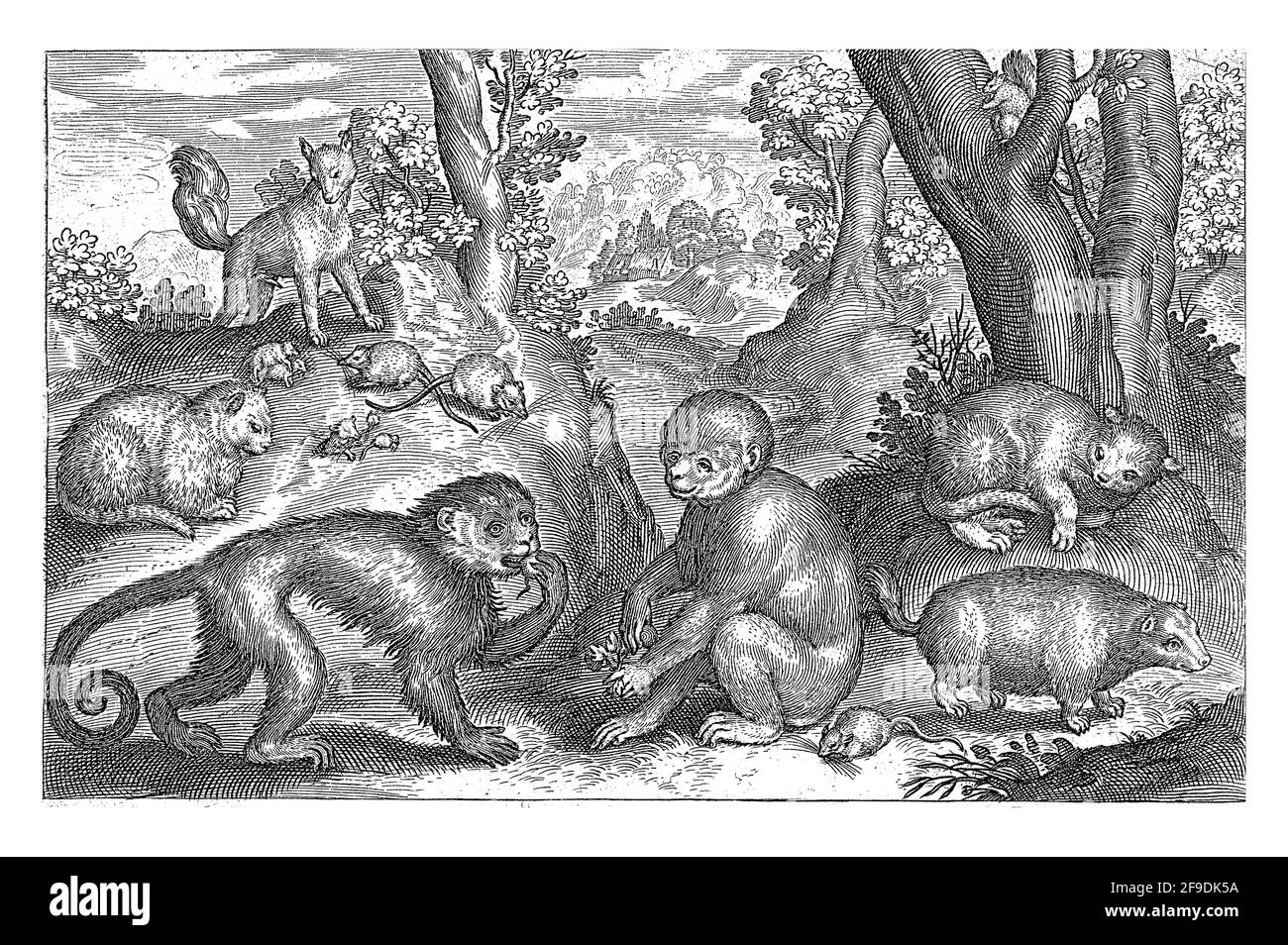 Affen, Katzen und Mäuse, Nicolaes de Bruyn, 1594 Stockfoto