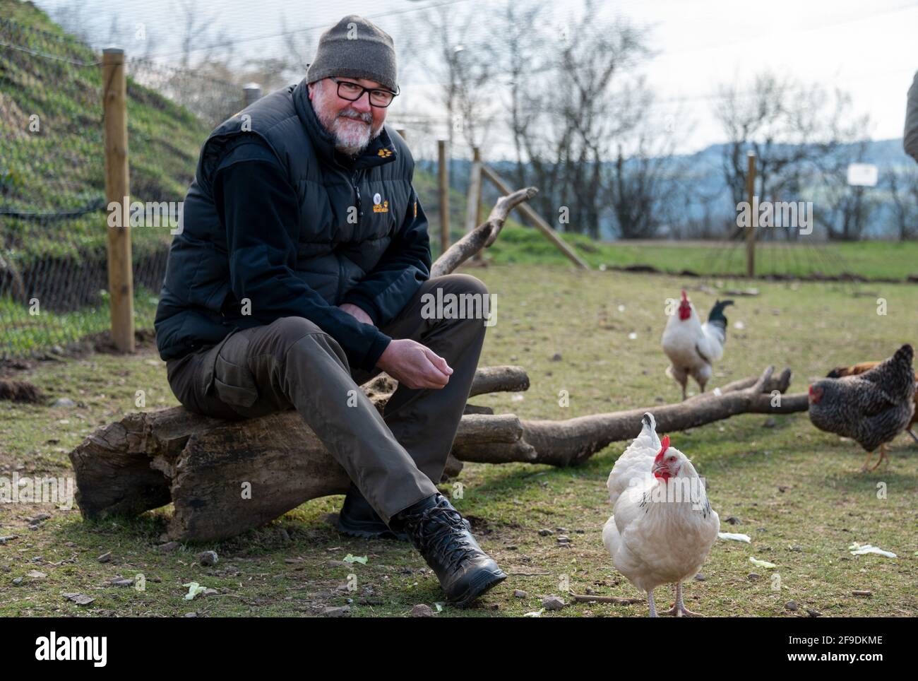 Bleckhausen, Deutschland. April 2021. Initiator und Mitglied der Hühnergruppe Jochen Dostal sitzt im Gehege, während die Hühner frei um ihn herumlaufen. 2020 bauten die Hühnerfans auf eigene Initiative ein Hühnerhaus mit einem Gehege auf dem alten Sportplatz. (Nach dpa: In Bleckhausen in der Eifel sind die Hühner lose) Quelle: Harald Tittel/dpa/Alamy Live News Stockfoto