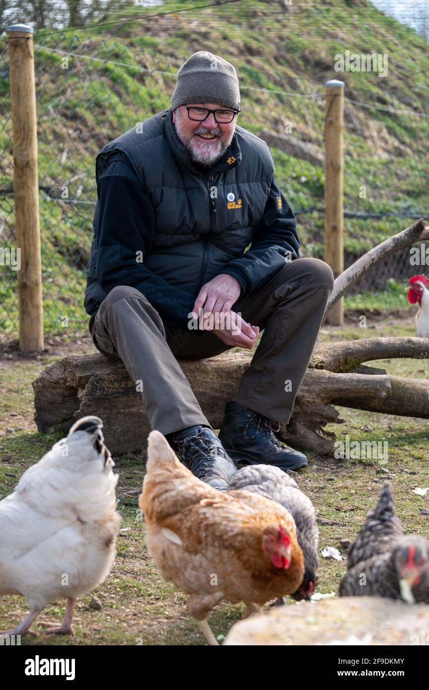 Bleckhausen, Deutschland. April 2021. Initiator und Mitglied der Hühnergruppe Jochen Dostal sitzt im Gehege, während die Hühner frei um ihn herumlaufen. 2020 bauten die Hühnerfans auf eigene Initiative ein Hühnerhaus mit einem Gehege auf dem alten Sportplatz. (Nach dpa: In Bleckhausen in der Eifel sind die Hühner lose) Quelle: Harald Tittel/dpa/Alamy Live News Stockfoto