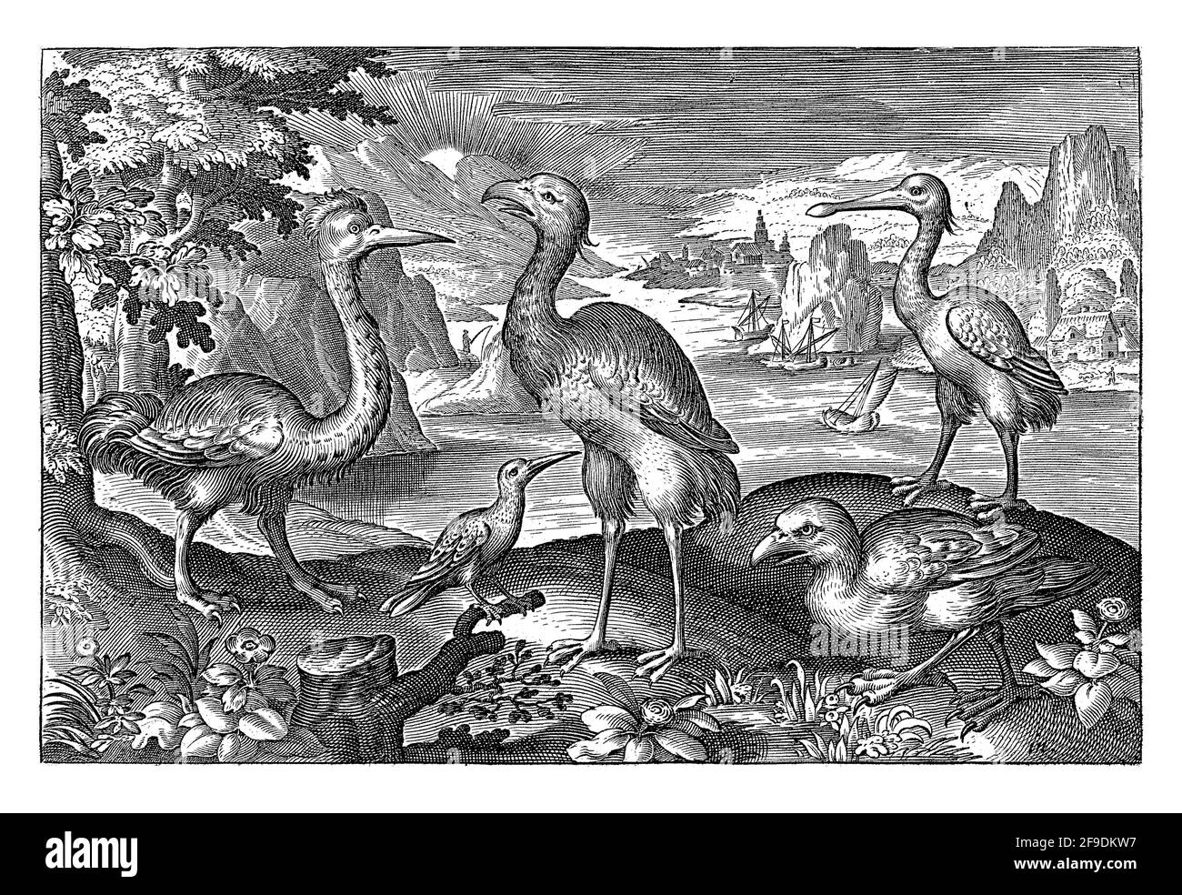 Fünf Vögel, darunter Löffler, Nicolaes de Bruyn Stockfoto